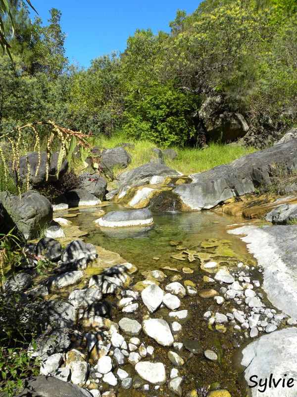 bassin-bleu-cilaos