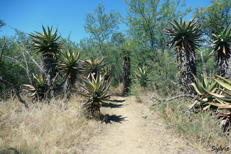 bontebok park swellendam