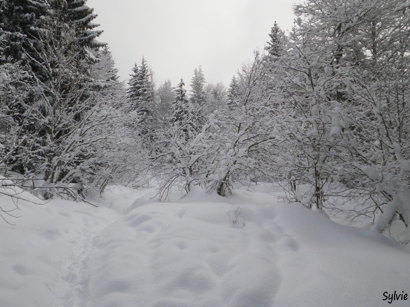 boucle-du-lac-vert-6