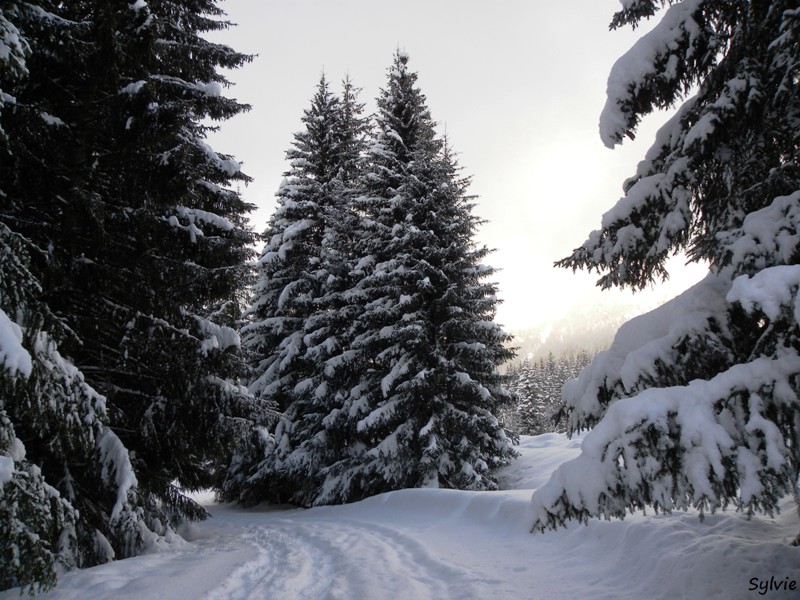 boucle-du-lac-vert1