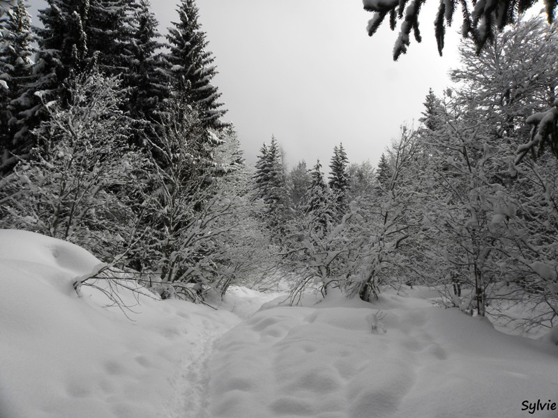 boucle-du-lac-vert3