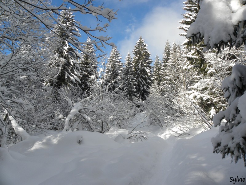 boucle-du-lac-vert5