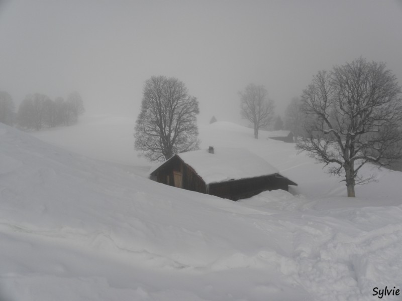 boucle-plateau-de-mayeres