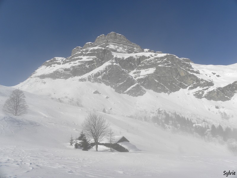 boucle-plateau-de-mayeres1