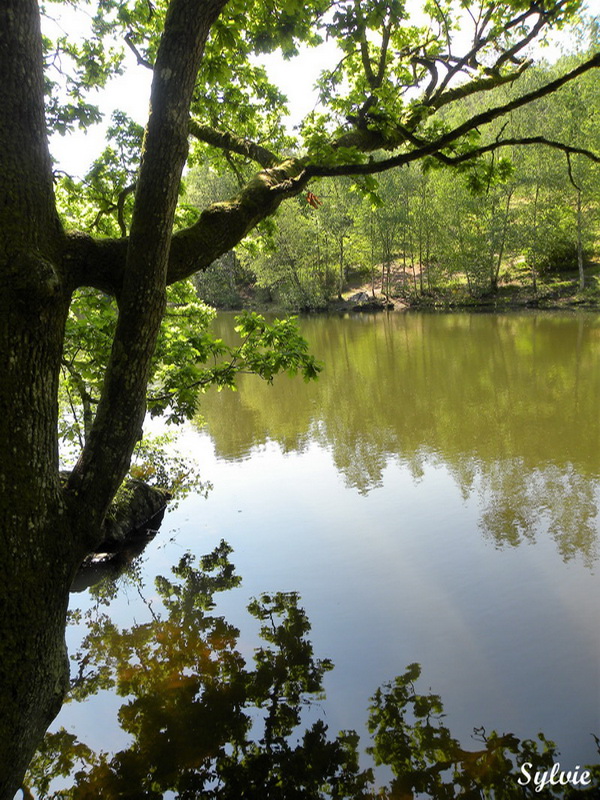 broceliande2012