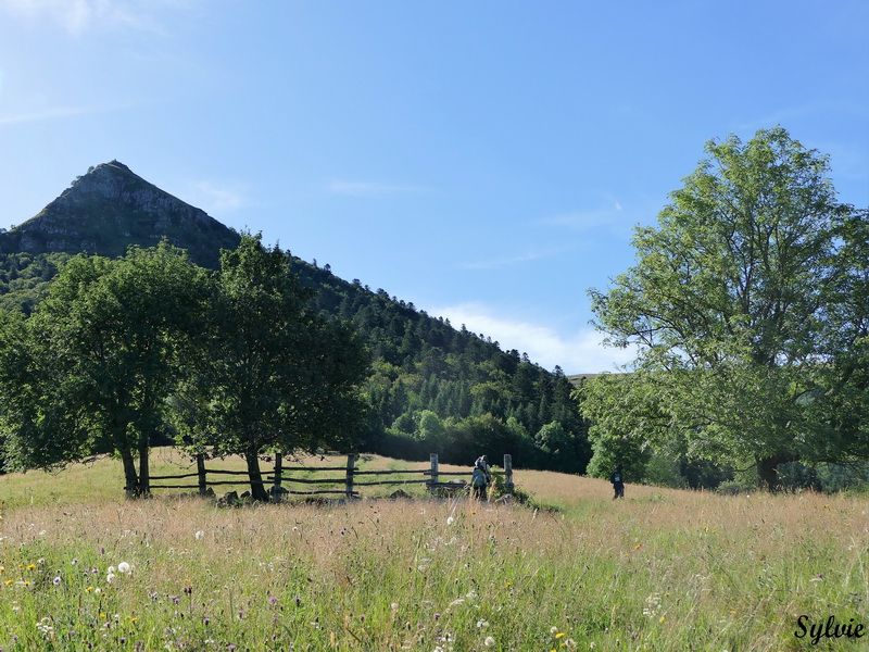 buron violental puy violent.1