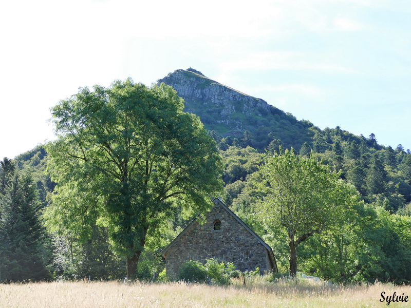 buron violental puy violent.2