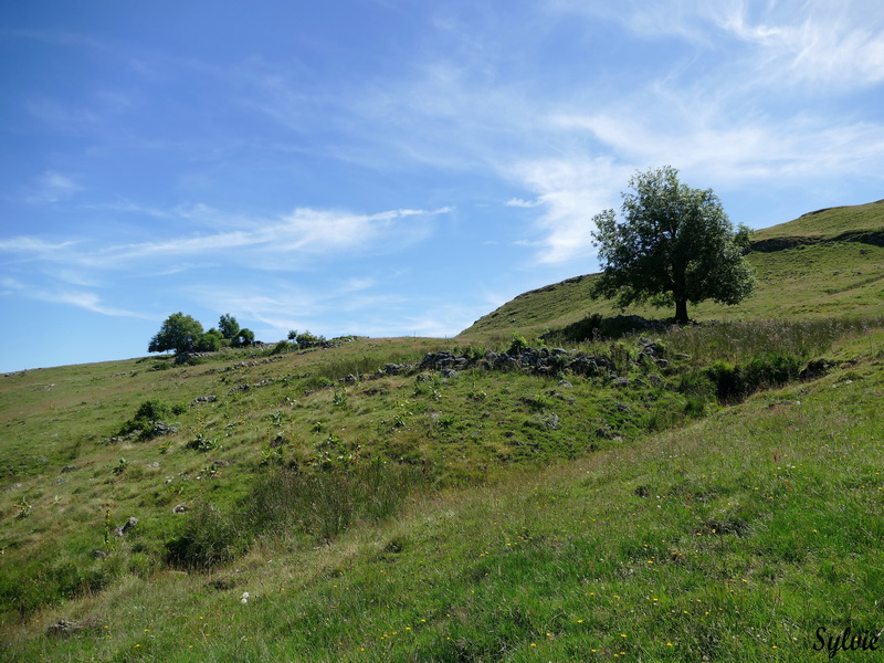 buron violental puy violent.7