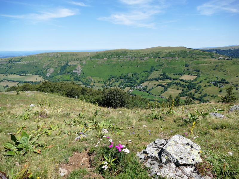 buron violental puy violent.8