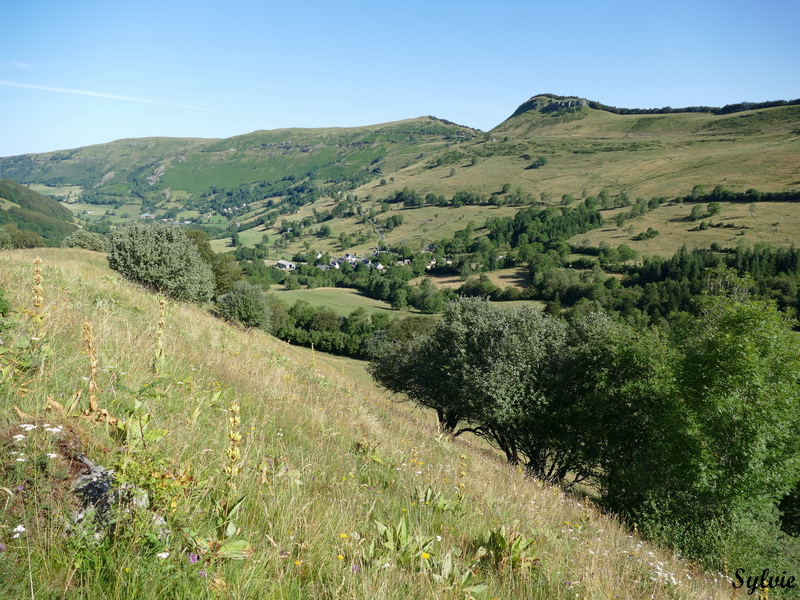 buron violental puy violent