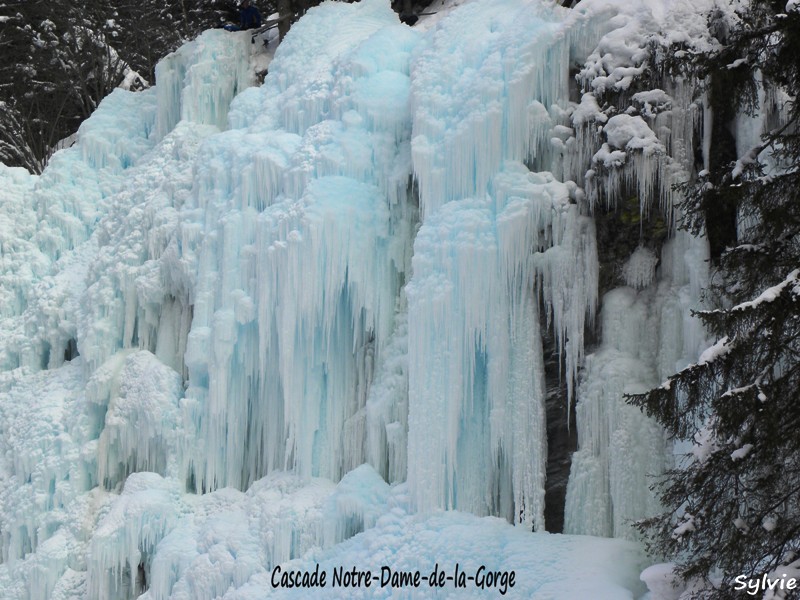 cascade-de-glace-notre-dame-de-la-gorge2