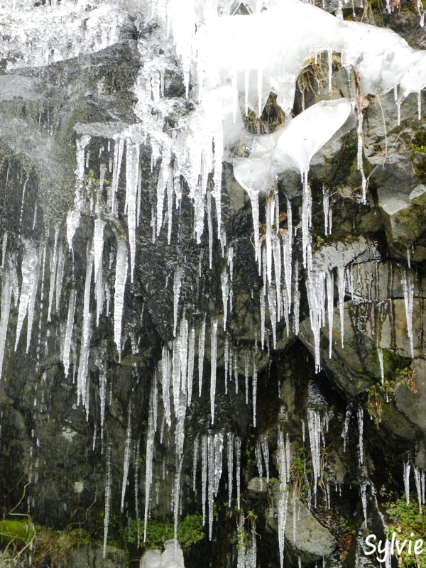 cascade du saut du loup1