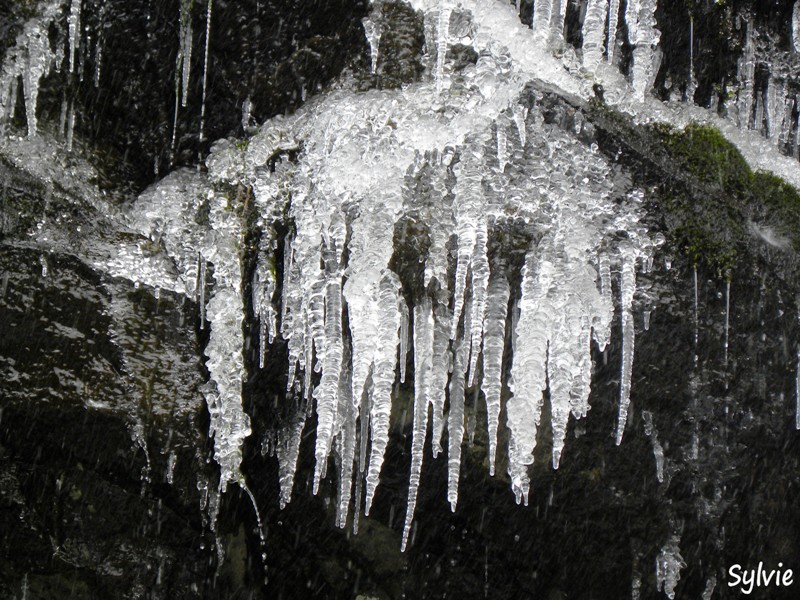 cascade du saut du loup2