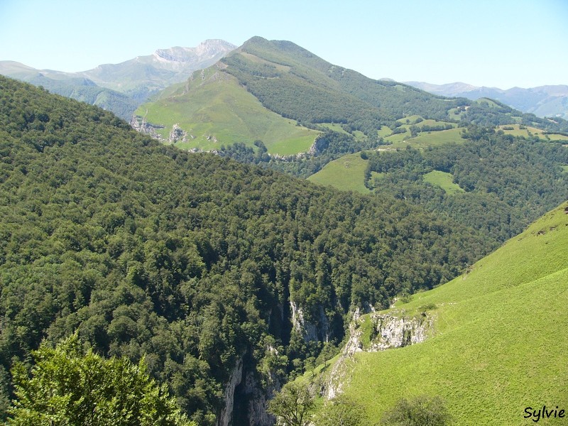 circuit-passerelle-holzarte1