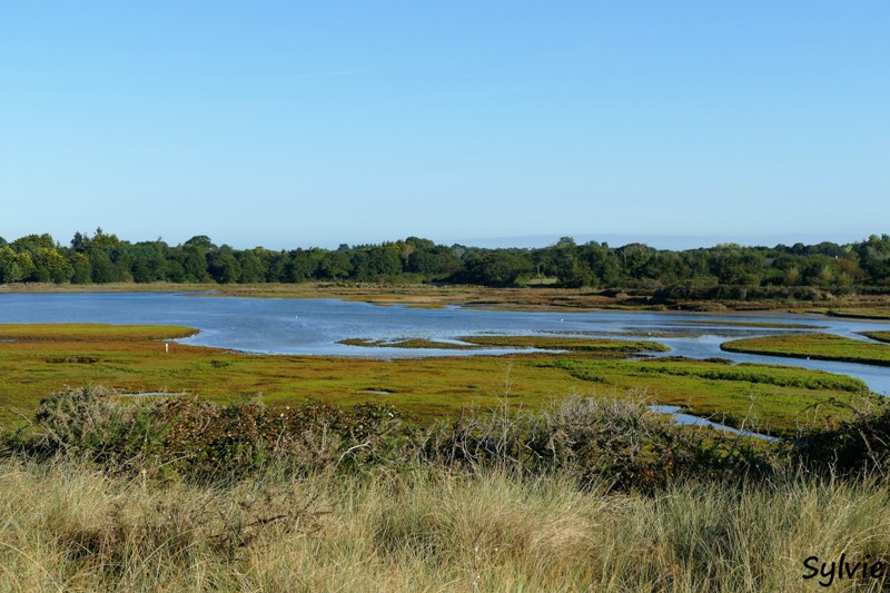 dunes mousterlin1