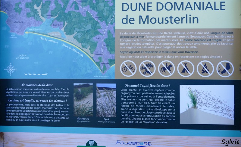 dunes mousterlin13