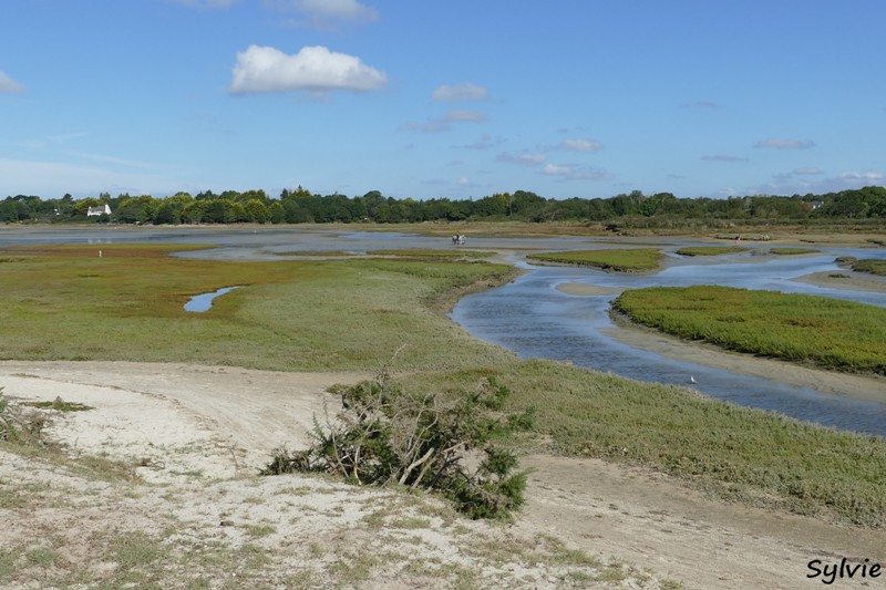 dunes mousterlin18