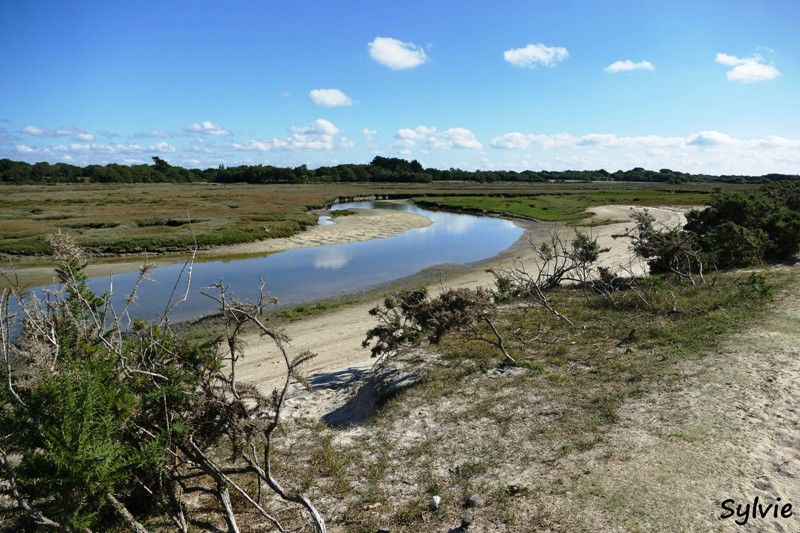 dunes mousterlin19