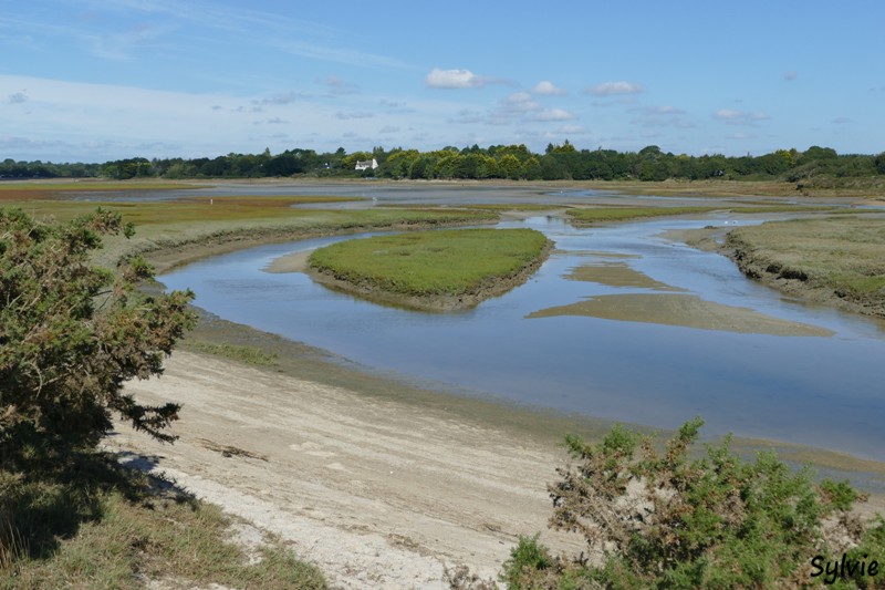 dunes mousterlin21