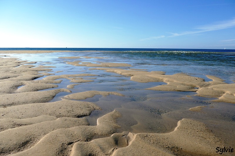 dunes mousterlin9