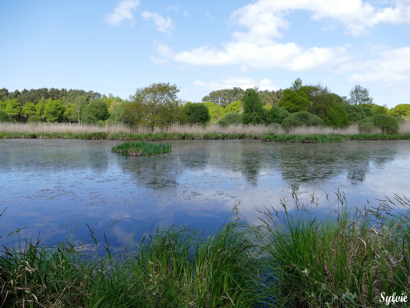 entre chaumieres et marais14