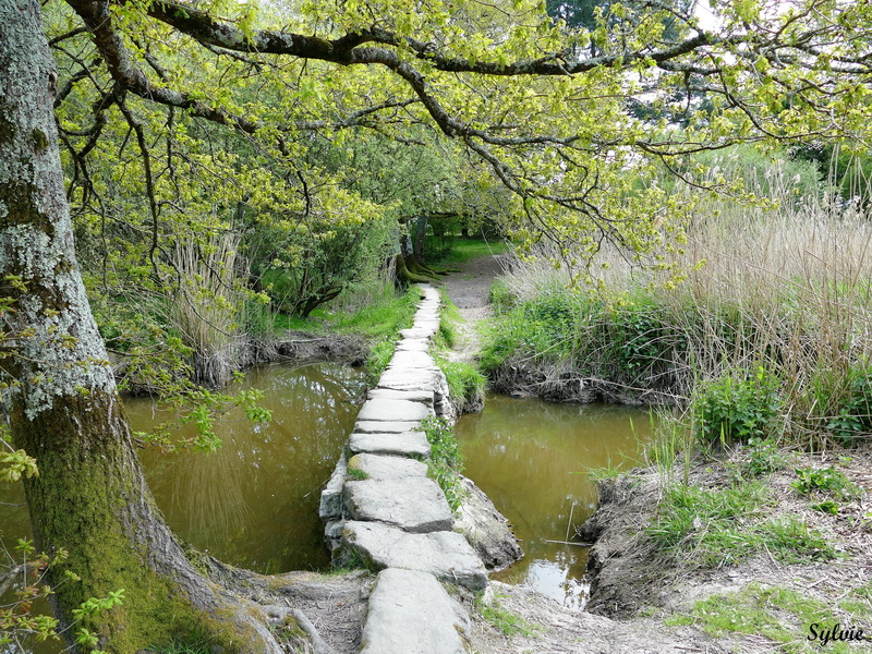 entre chaumieres et marais17