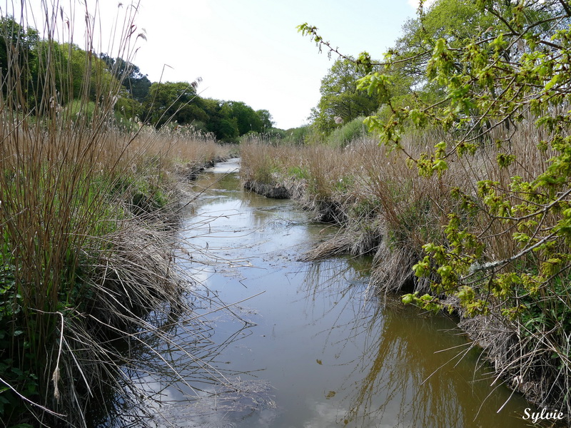 entre chaumieres et marais18