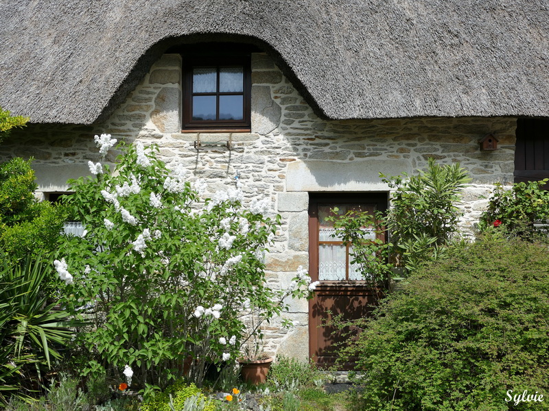 entre chaumieres et marais21