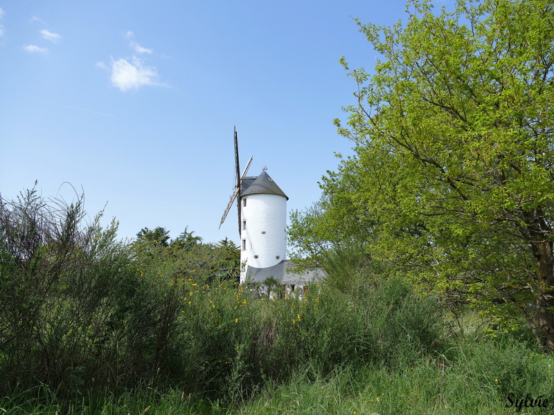 entre chaumieres et marais22