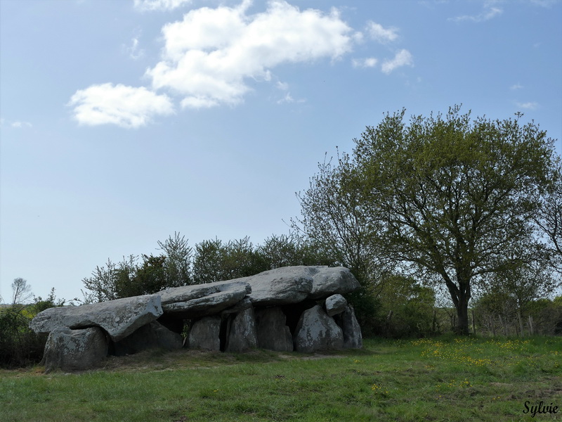 entre chaumieres et marais23