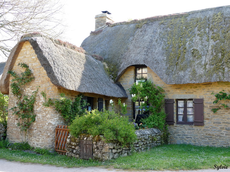 entre chaumieres et marais3