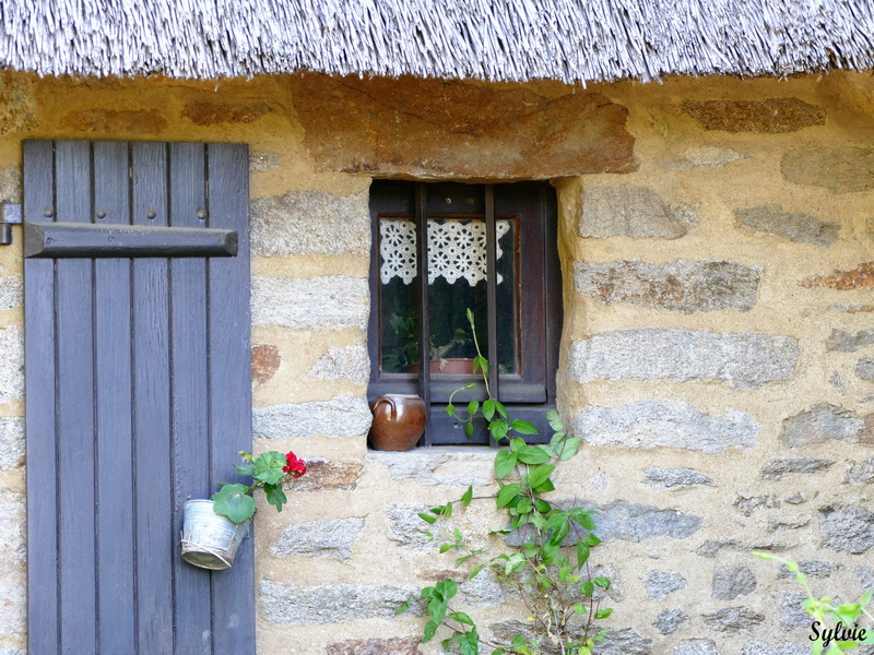 entre chaumieres et marais7