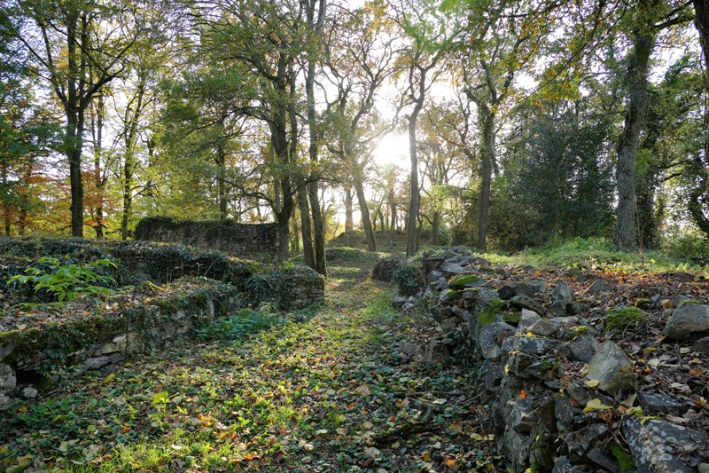 entre loire et histoire champtoceaux10