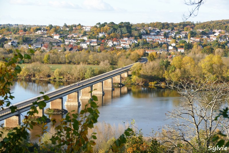 entre loire et histoire champtoceaux11