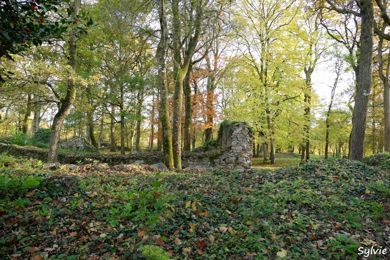 entre loire et histoire champtoceaux12