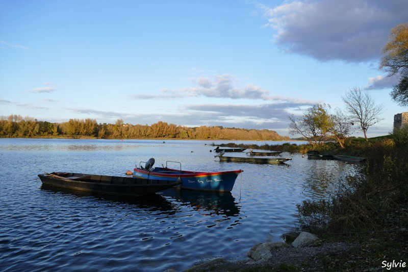 entre loire et histoire champtoceaux14