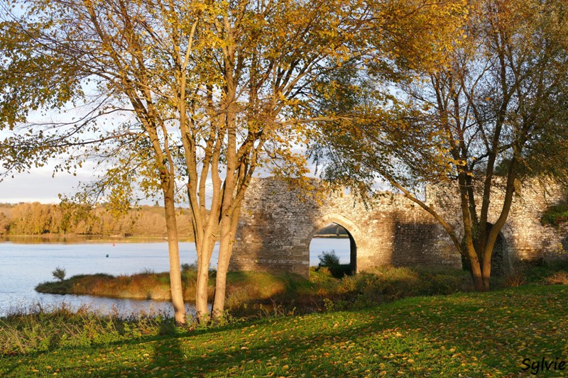 entre loire et histoire champtoceaux15