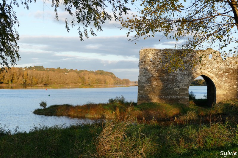 entre loire et histoire champtoceaux16