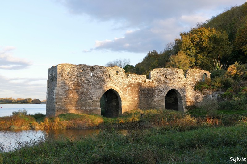 entre loire et histoire champtoceaux17