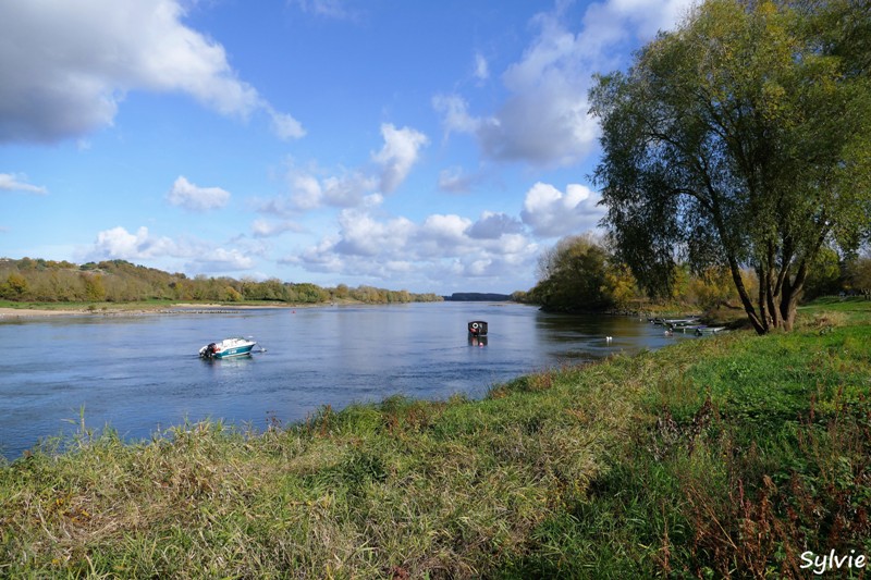 entre loire et histoire champtoceaux3