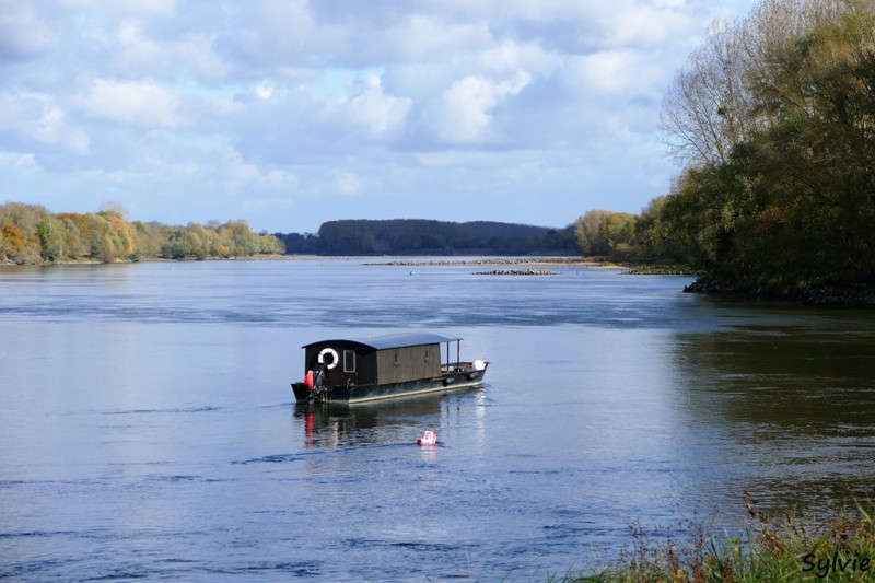 entre loire et histoire champtoceaux4