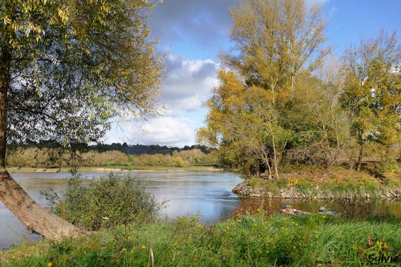 entre loire et histoire champtoceaux5