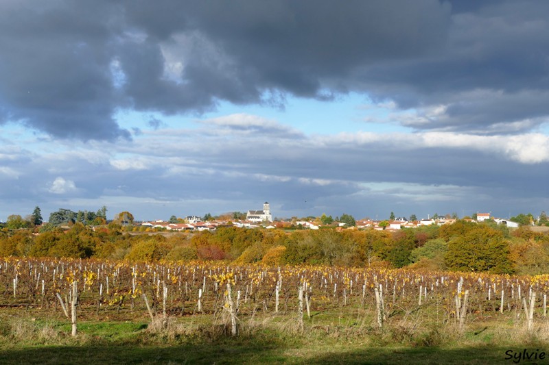 entre loire et histoire champtoceaux8