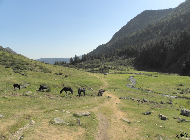 etang-de-comte3