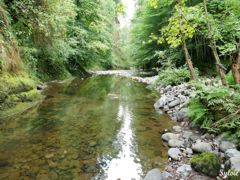 gorges de la jordanne1