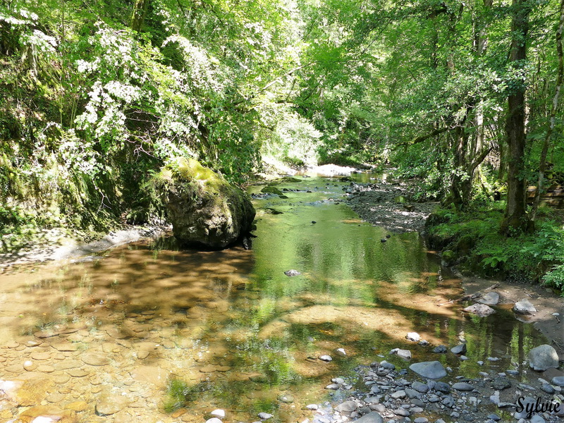 gorges de la jordanne13