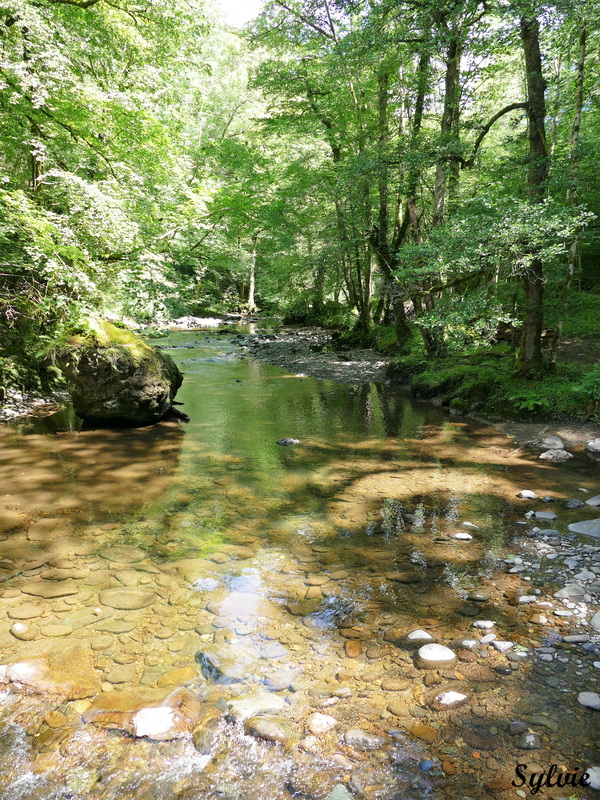 gorges de la jordanne14