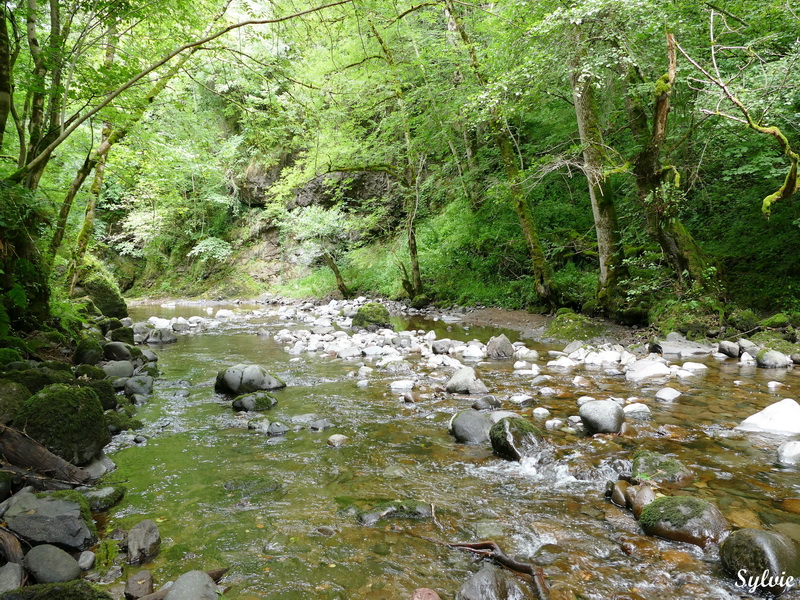 gorges de la jordanne6