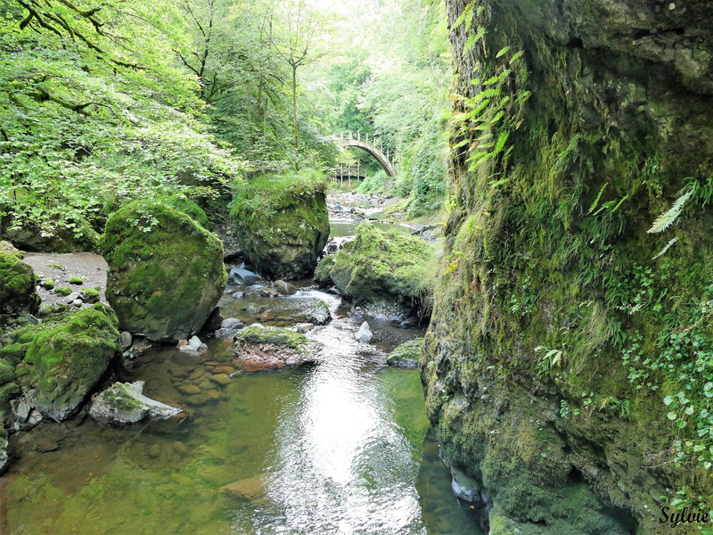 gorges de la jordanne8