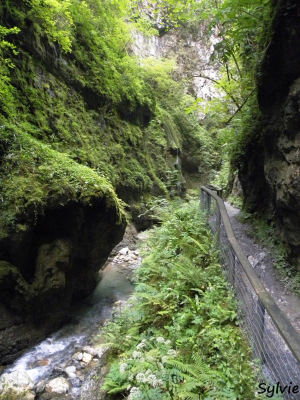 gorges kakuetta pays basque14